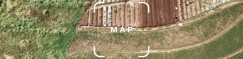 Aerial view of agricultural fields with different crops and pathways between them.